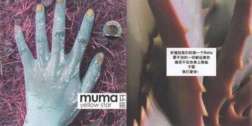 木马Muma.2003-YellowStar【摩登天空】【WAV+CUE】