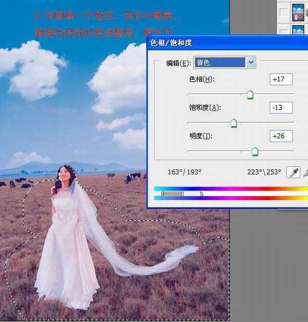 Photoshop 清晰开阔的蓝紫色草原婚片