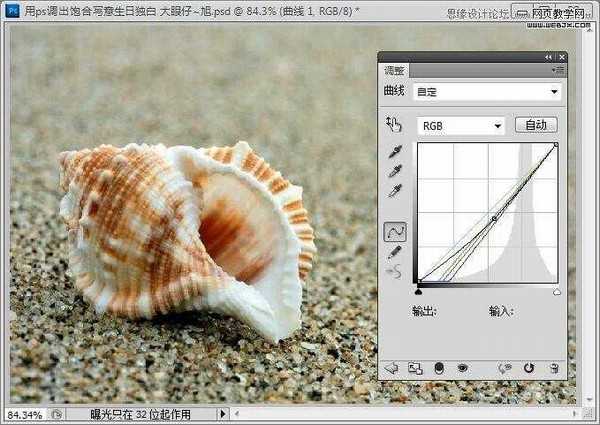 Photoshop制作出低调的沙滩海螺图片的写意效果教程