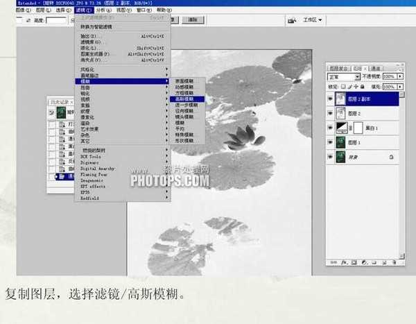 Photoshop将普通的荷叶图转成经典水墨画效果