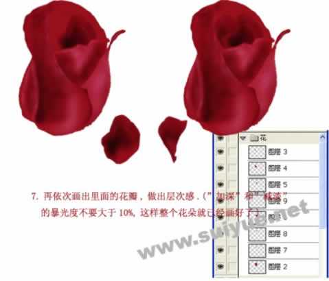 PS利用钢笔工具鼠绘逼真娇艳玫瑰花