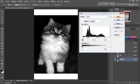 使用Photoshop合成创意的星空装饰的猫咪图片