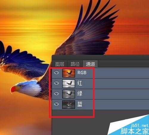 Photoshop抠图方法有哪些?如何抠图?