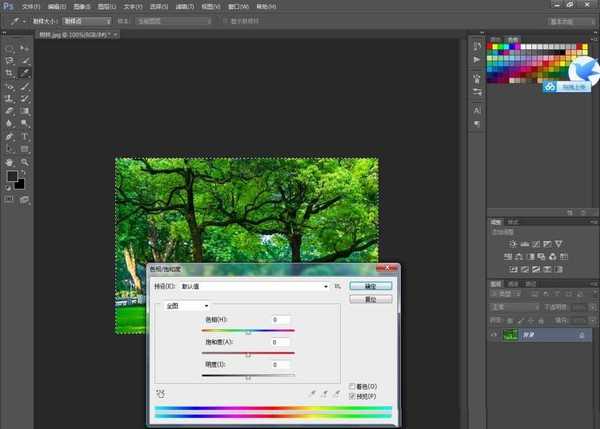 ps怎么给一片树林调色? ps给树林换色的教程