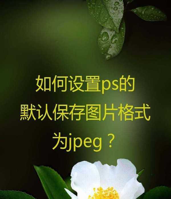 ps怎么设置保存类型默认jpeg? ps设置默认保存为jpeg格式的教程