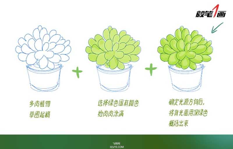 PS鼠绘小清新多肉植物插画教程