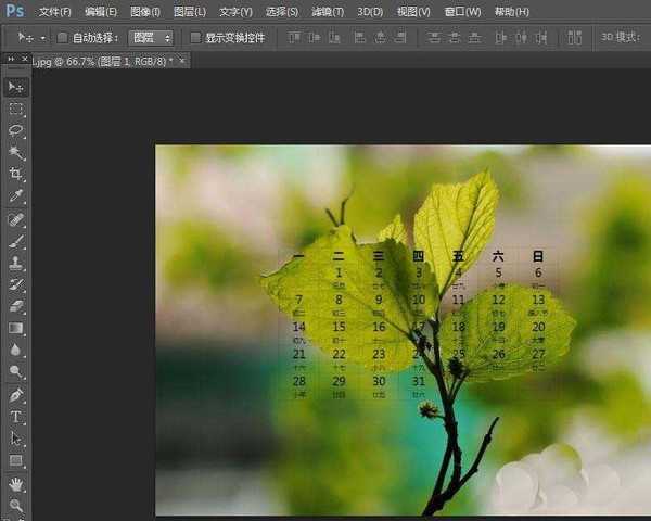 ps怎么设计清新的日历图片? ps日历的设计方法
